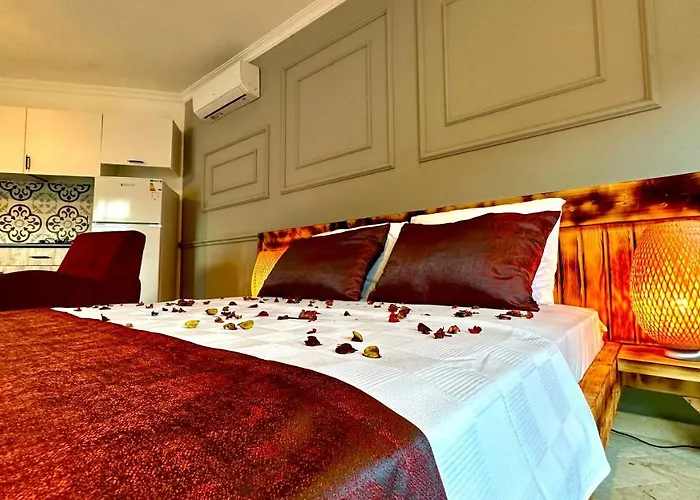 Tas Konak Lejlighedshotel Hacisekililer