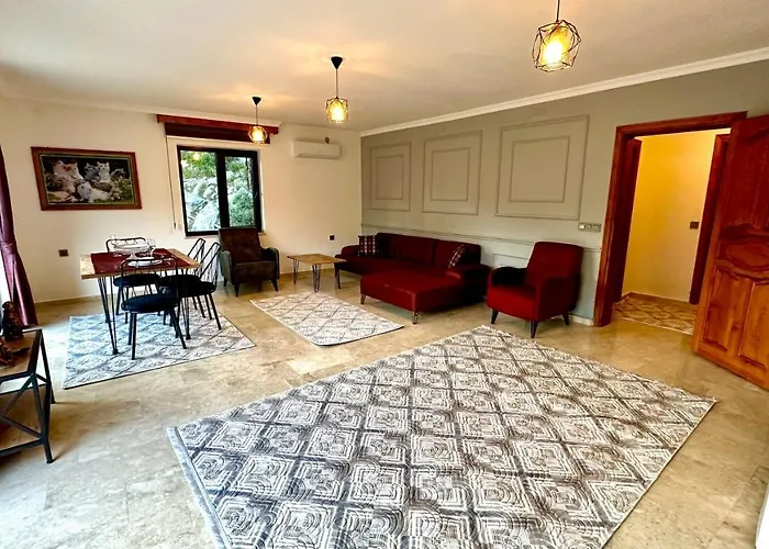 Tas Konak 3* Hacisekililer