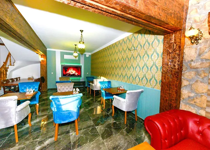 Tas Konak 3* Hacisekililer